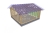 image2.jpeg